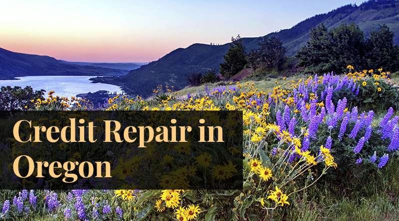 Credit Repair and High-Risk Processing Services in Oregon