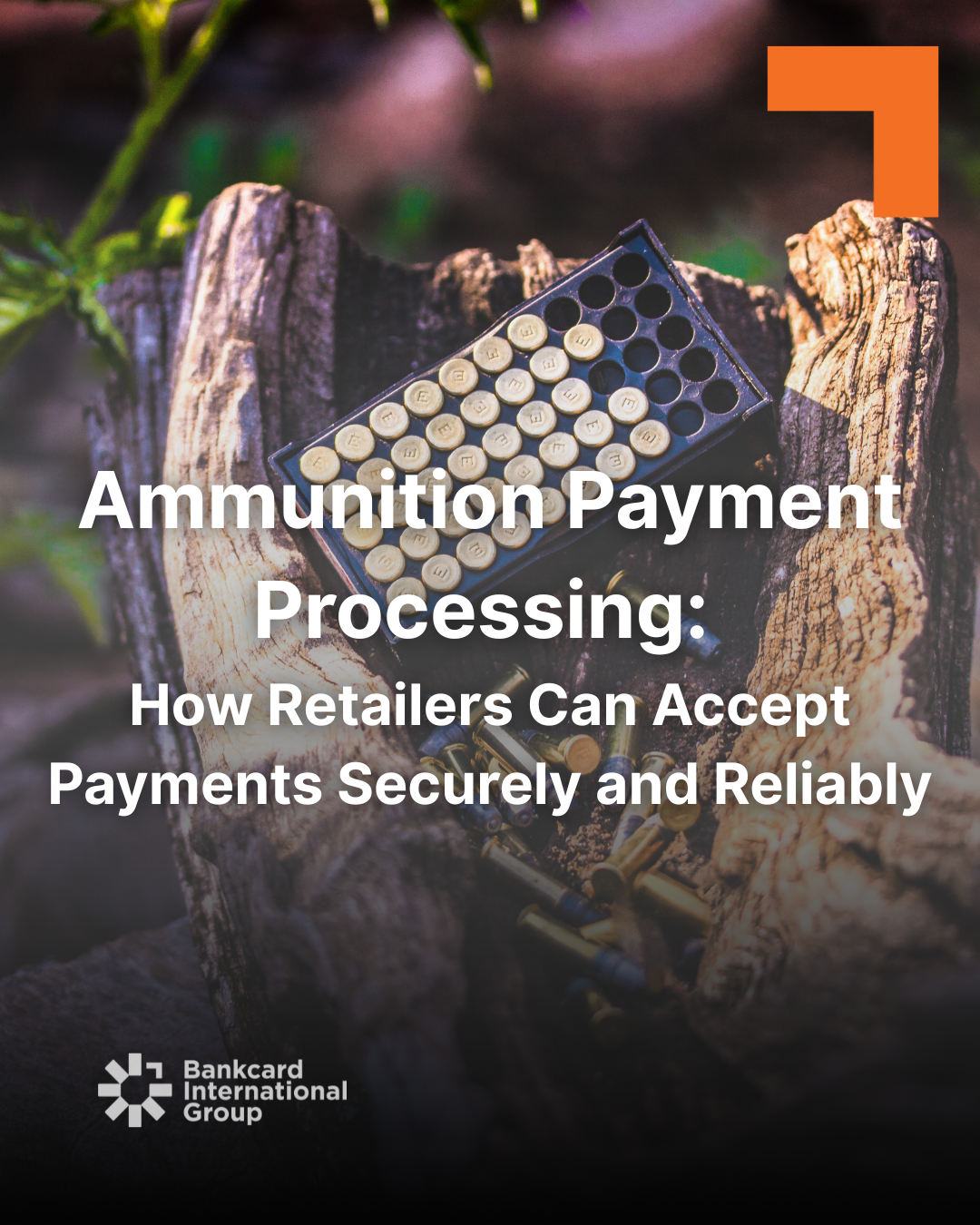 Payment Processing for Firearms and Ammunition Businesses