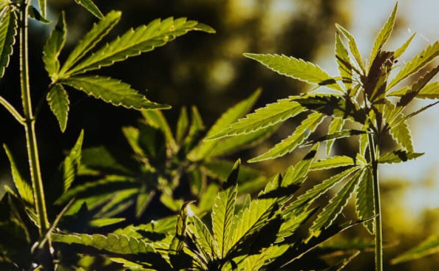 Hemp in Missouri