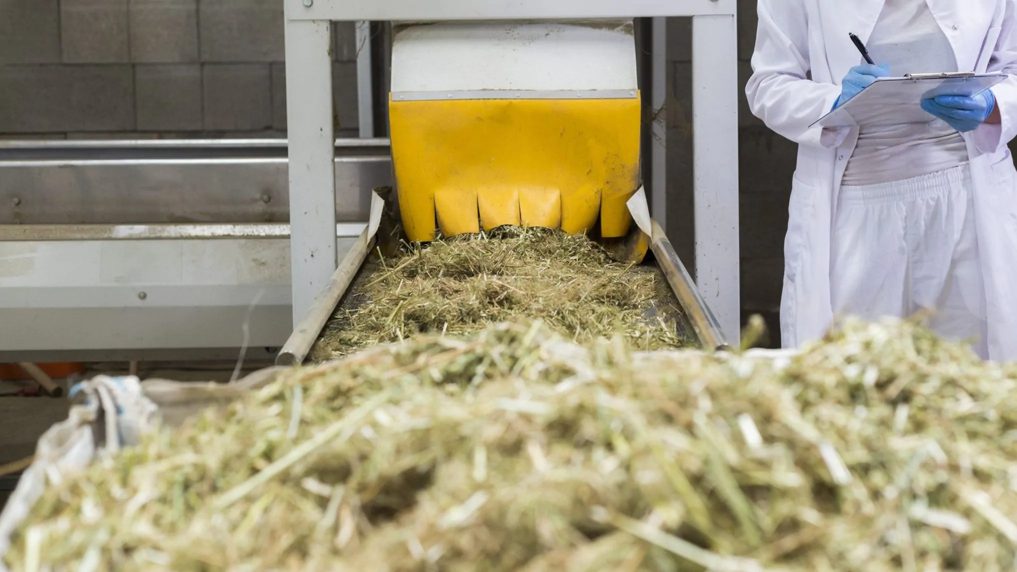 Hemp Processing in Alabama