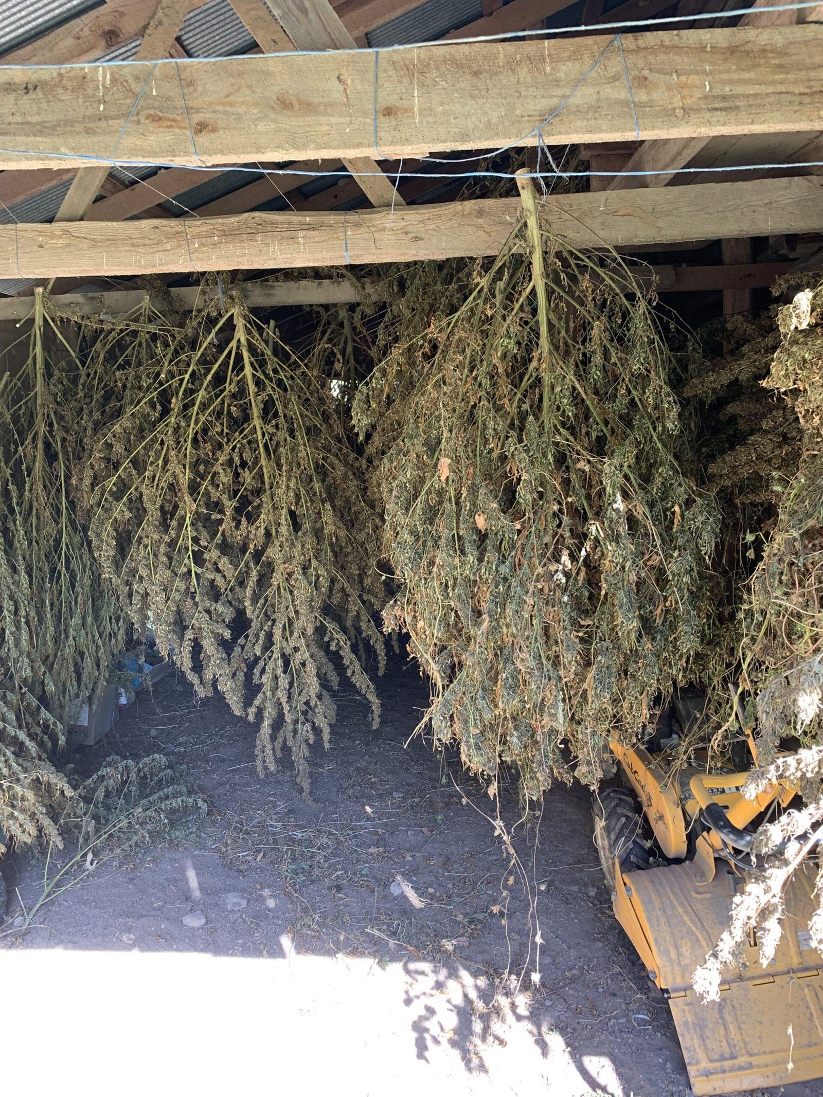 Hemp Processing in Arkansas