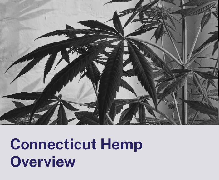 Hemp Processing in Connecticut