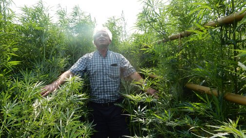 Hemp Processing in Nebraska