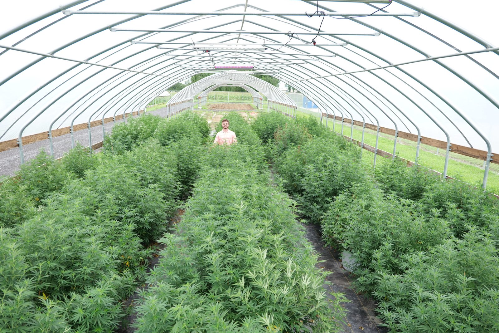 Louisiana Hemp Payment Processing