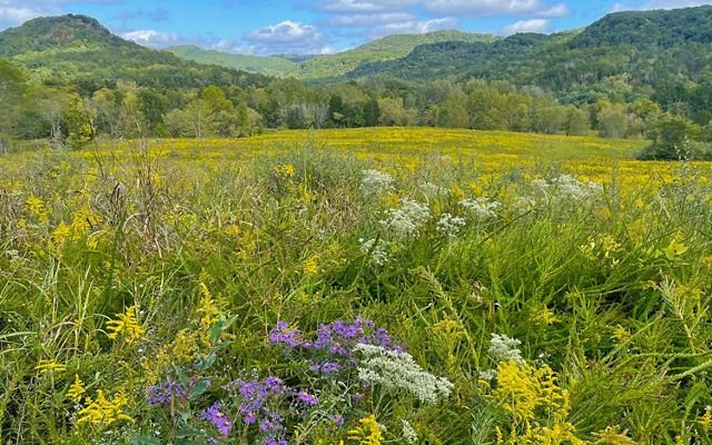 Ohio landscape with financial elements